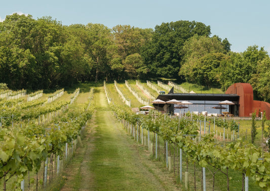 Spring LineUp, Wraxall Vineyard, Somerset  | Thurs 27th February 2025